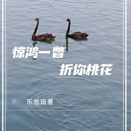 惊鸿一瞥折你桃花