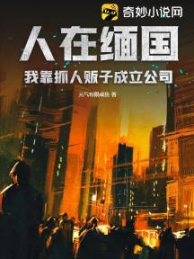 人在缅国,我靠抓人贩子成立公司!