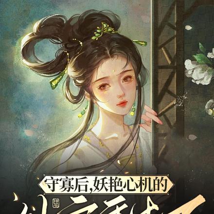 守寡后,妖艳心机的外室重生了