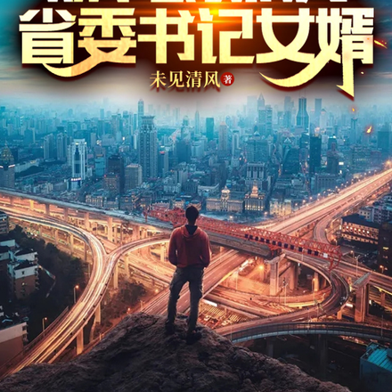 官场:从小县长成为省委书记女婿