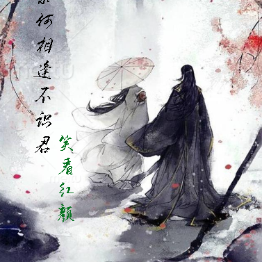奈何相逢不识君