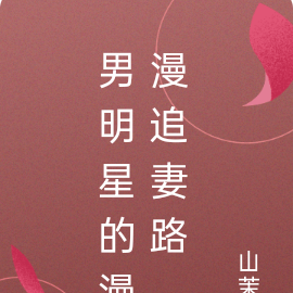 男明星的漫漫追妻路