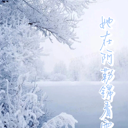 她在阿勒锦看雪