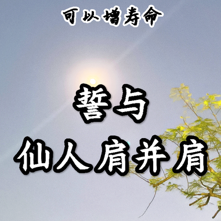 系统可以增寿命,誓与仙人肩并肩