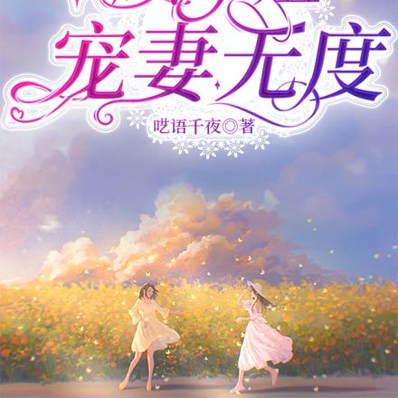 顾小姐宠妻无度