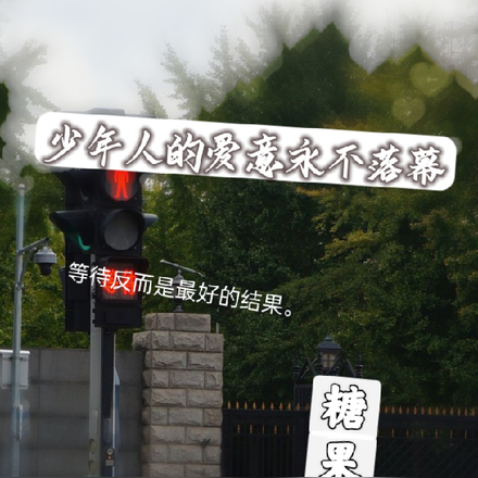 少年人的爱意永不落幕