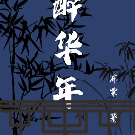醉华年