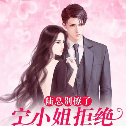 陆总别撩了,宁小姐拒绝和你结婚