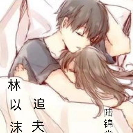 林以沫追夫记