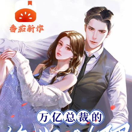 万亿总裁的绝版助理