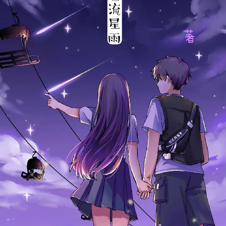 一起去看流星雨