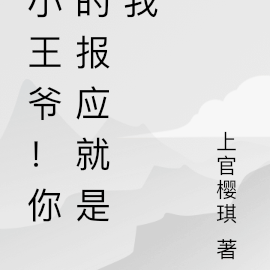 小王爷！你的报应就是我