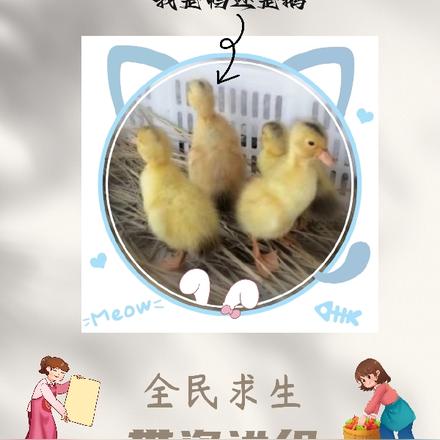 全民求生，带资进组