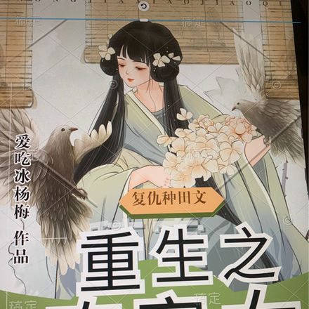 重生之农家女崛起