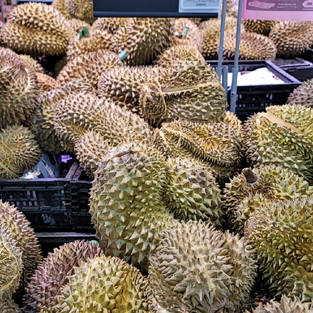 超越混乱