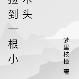 捡到一根小木头