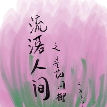 流落人间之寻花问柳