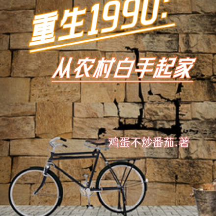 重生1990:从农村白手起家