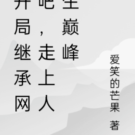 开局继承网吧，走上人生巅峰