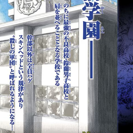 热血高校之凤仙花