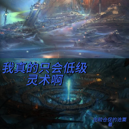 我真的只会低级灵术啊
