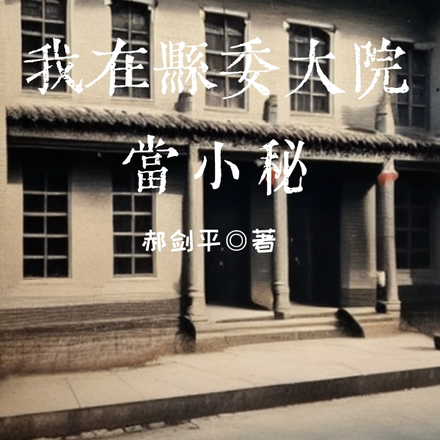 我在县委大院当小秘