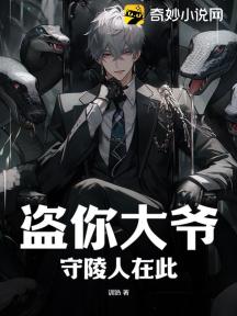 盗你大爷,守陵人在此!