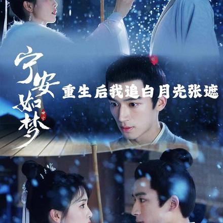 宁安如梦:重生后我追白月光张遮