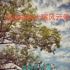 高墙电网大院风云录