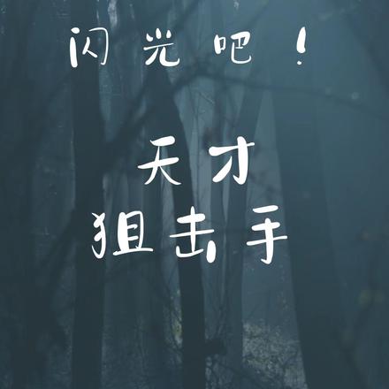闪光吧！天才狙击手