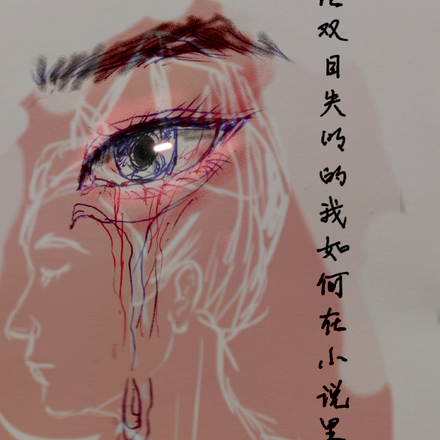 论双目失明的我如何在小说里生存