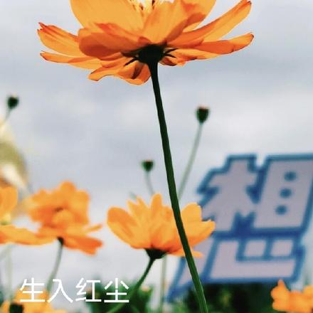 生入红尘