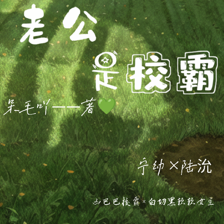 不是吧!我的绅士老公竟然是校霸