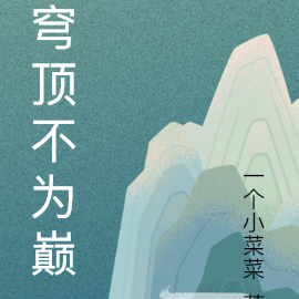 穹顶不为巅