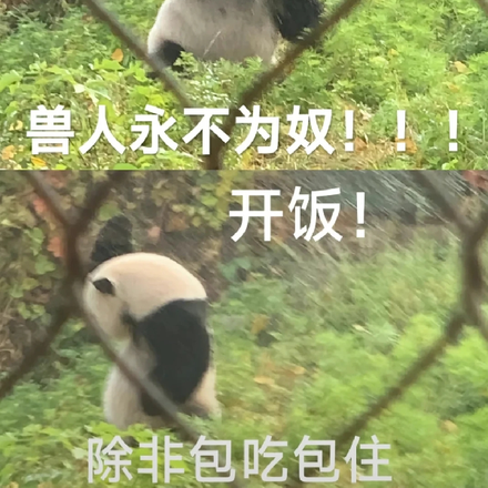 永不为奴，除非包吃包住