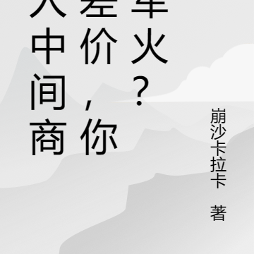 别人中间商赚差价，你卖军火？
