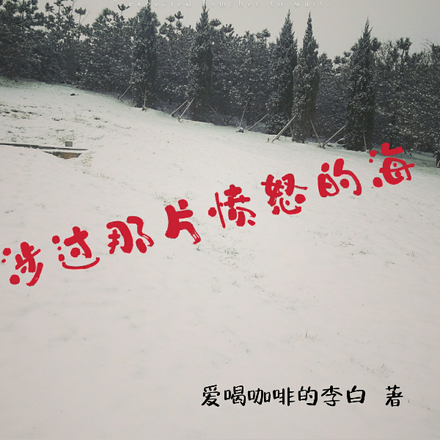 涉过那片愤怒的海