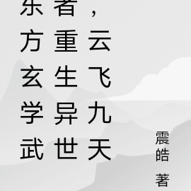 东方玄学武者重生异世,云飞九天