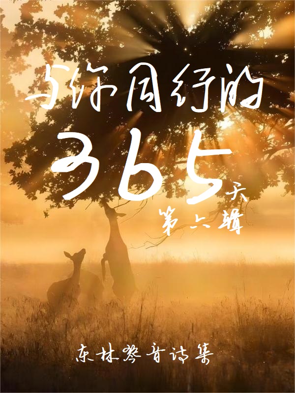 与你同行的365天:第六辑