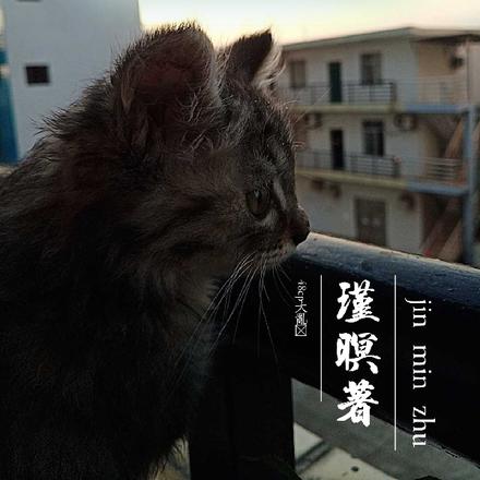 48cp大乱炖