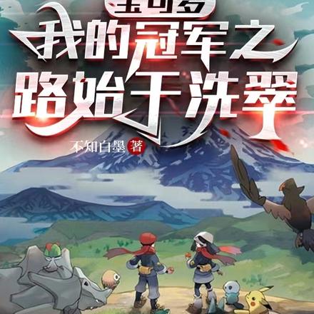 宝可梦:我的冠军之路始于洗翠