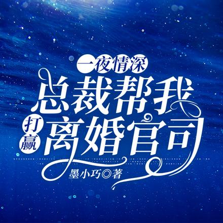 一夜情深：总裁帮我打赢离婚官司