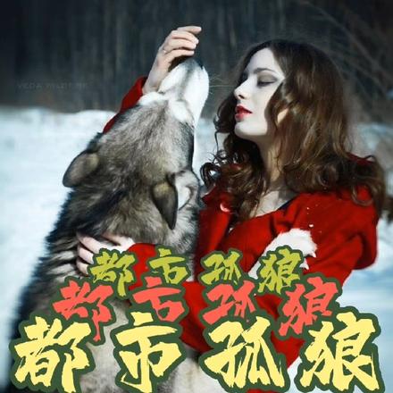 都市孤狼
