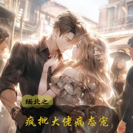 缅北之疯批大佬病态宠