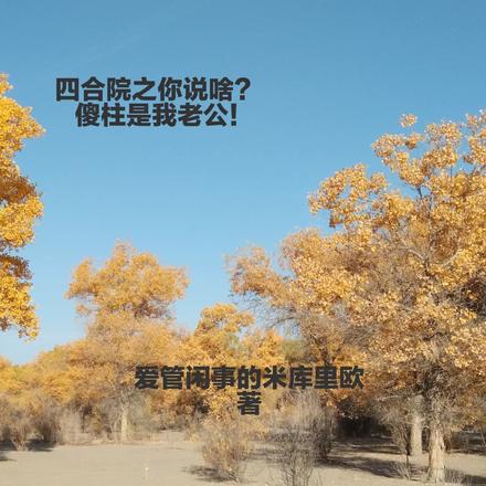四合院之你说啥？傻柱是我老公！