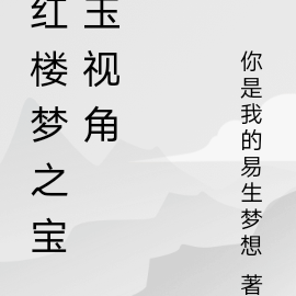 红楼梦之宝玉视角