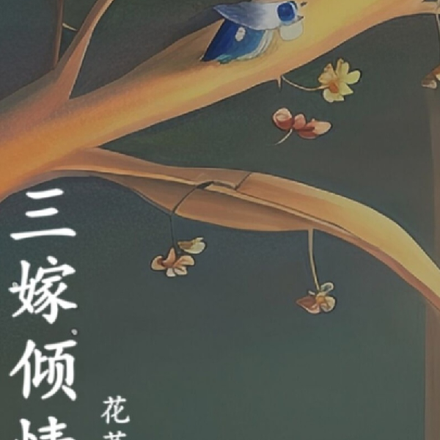 三嫁倾情