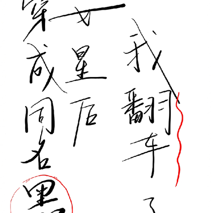 穿成同名黑红女星后我翻车了