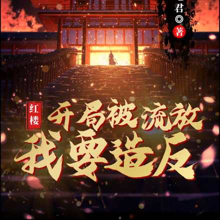 红楼：开局被流放，我要造反