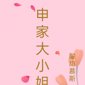 申家大小姐